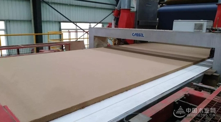 豐林木業18萬m/a中纖板首板順利下線!