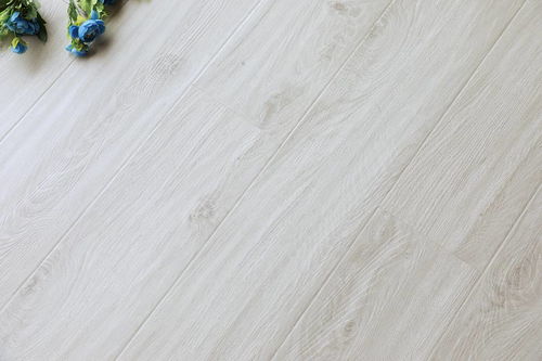 盼盼動態(tài) 江西臥室門 湖北陽臺門 盼盼木業(yè)集團 盼盼木業(yè)集團2021北京定制家居門業(yè)展 盼盼地板篇 盼盼木業(yè)集團