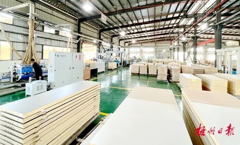 政策加力支持 服務精準滴灌|梧州市積極推動外貿高質量發展